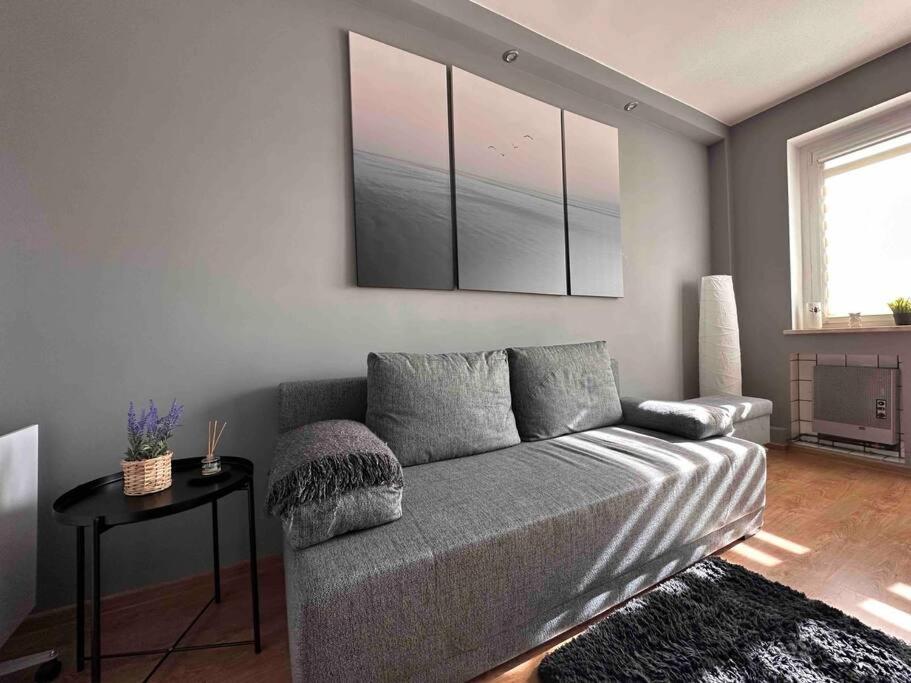 Cozy Place Zabrze Dış mekan fotoğraf